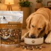 Air Dried Chicken Dog Food 100g Trial Pack [x3]