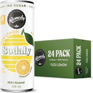 Remedy Sodaly Citrus Bundle 250mL 24-Pack [x2]