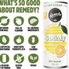 Remedy Sodaly Citrus Bundle 250mL 24-Pack [x2]