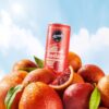 Remedy Sodaly Citrus Bundle 250mL 24-Pack [x2]